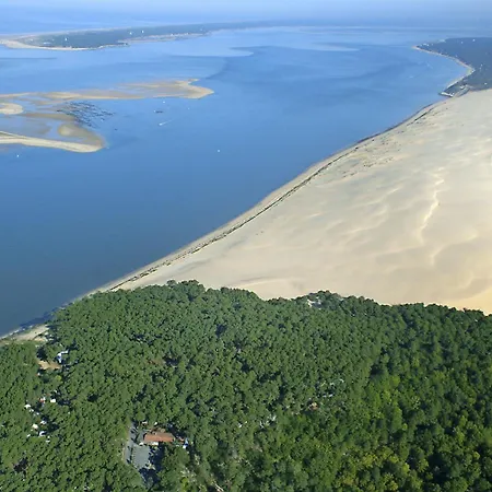 Le Grillon-2 By Interhome * Arcachon